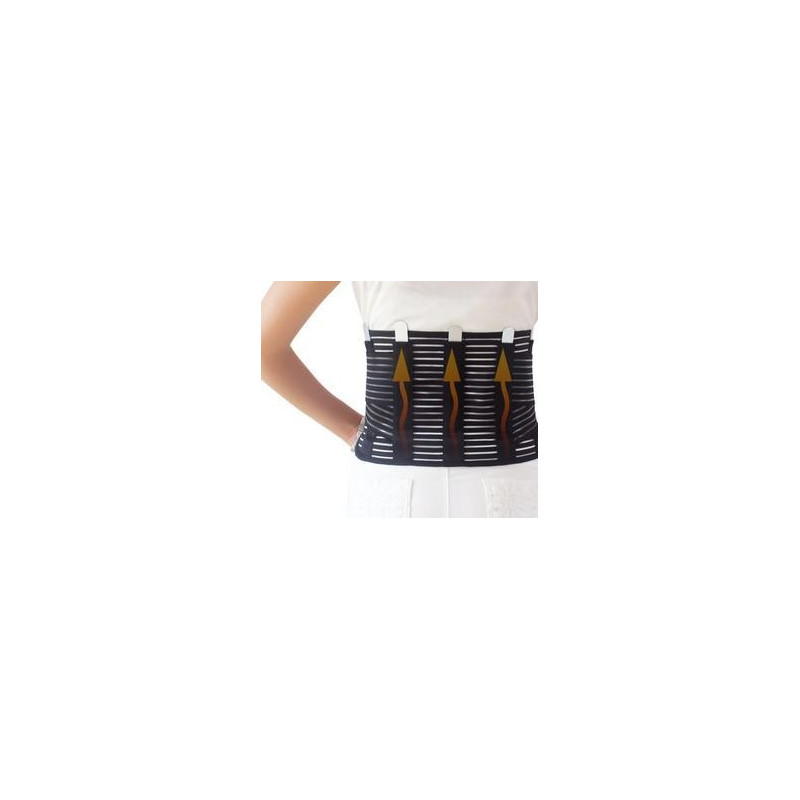 Ceinture dorsale 4
